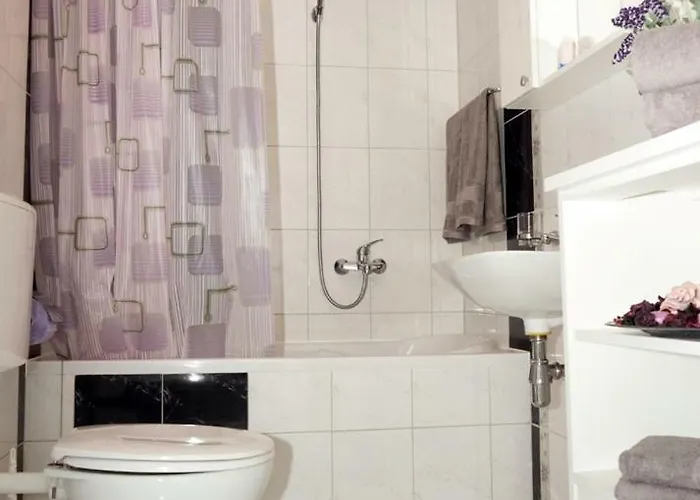 Pavlinovic Apartament *